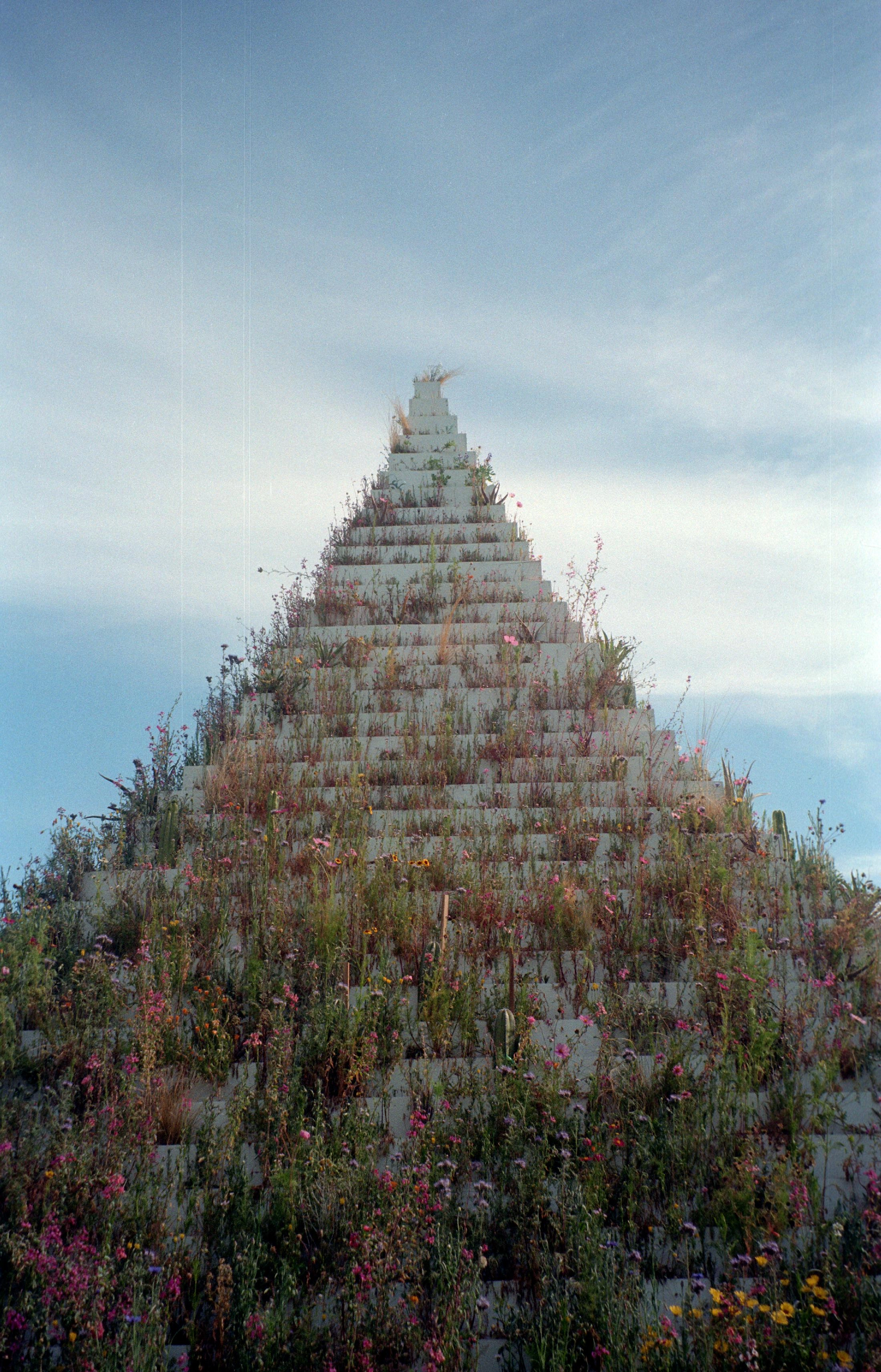 The Living Pyramid - Agnes Denes - Desert X 2025
